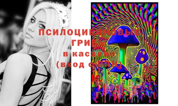 мяу мяу мука Алзамай