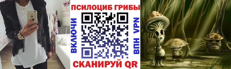 Псилоцибиновые грибы Psilocybine cubensis  Дегтярск 